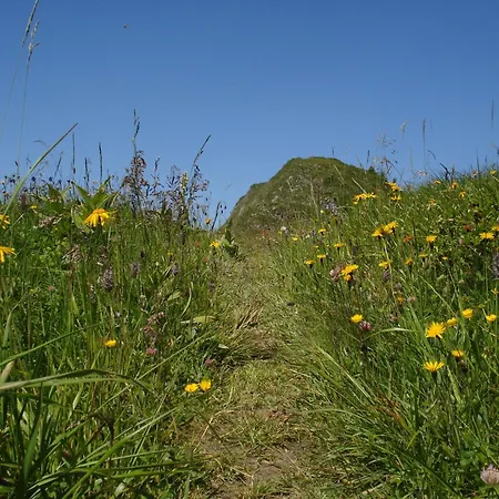Pensjonat Gletschermuehle Bad Gastein