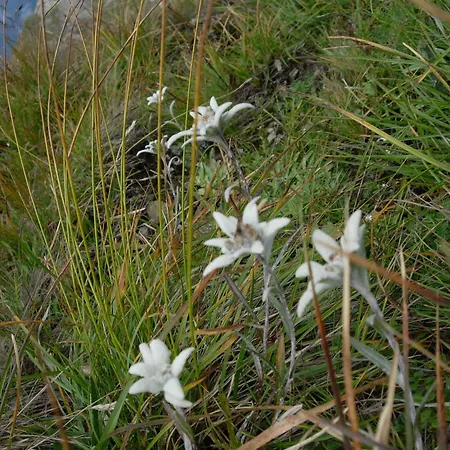 Gletschermuehle Pensjonat 3*